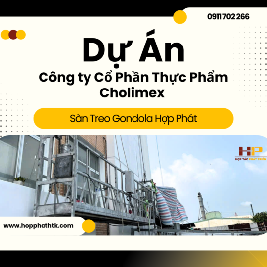 Công Trình Sàn Treo Gondola Tại Công Ty Cổ Phần Thực Phẩm Cholimex